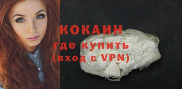мяу мяу мука Аркадак