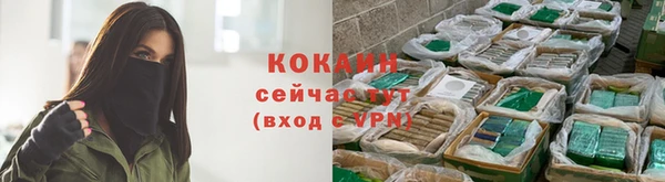 мяу мяу мука Аркадак