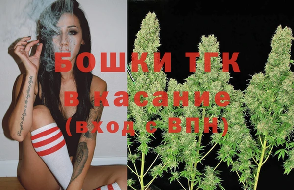 твердый Арсеньев