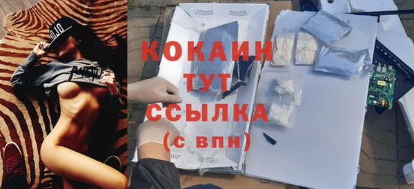 мяу мяу мука Аркадак