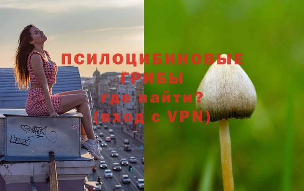 твердый Арсеньев